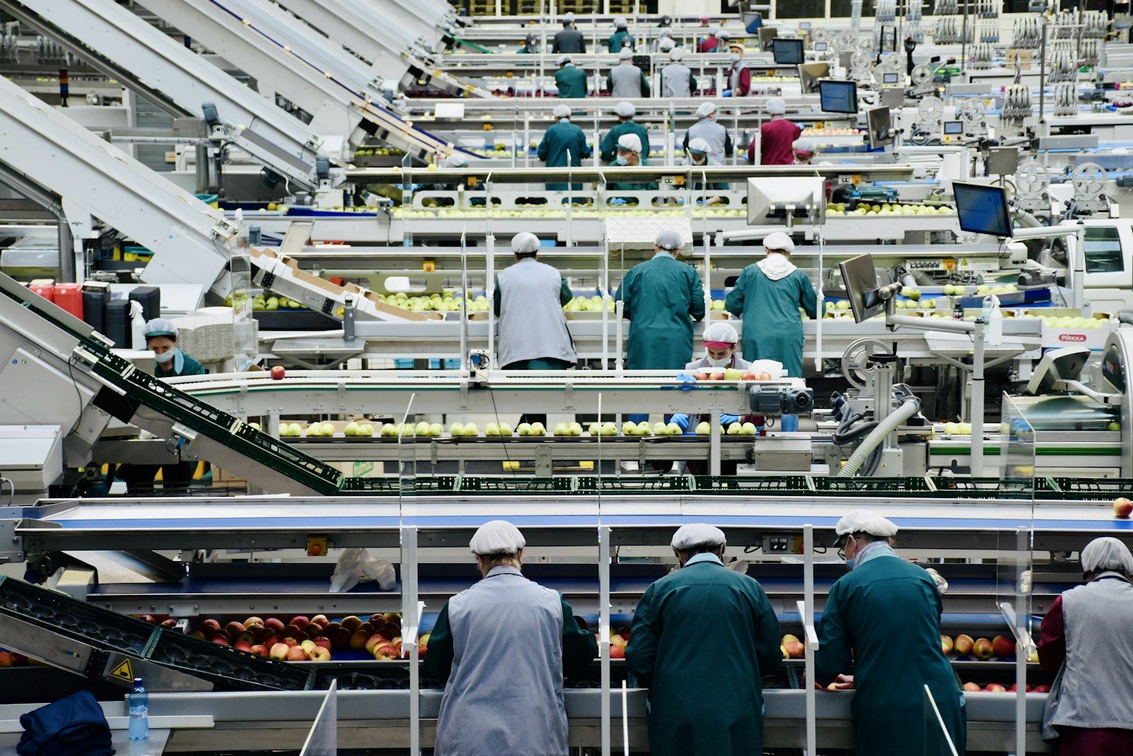 Food manufacturing team working on a production line