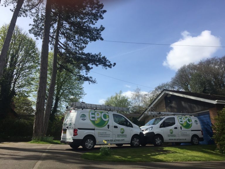 Two original Environmental Pest Control service vans